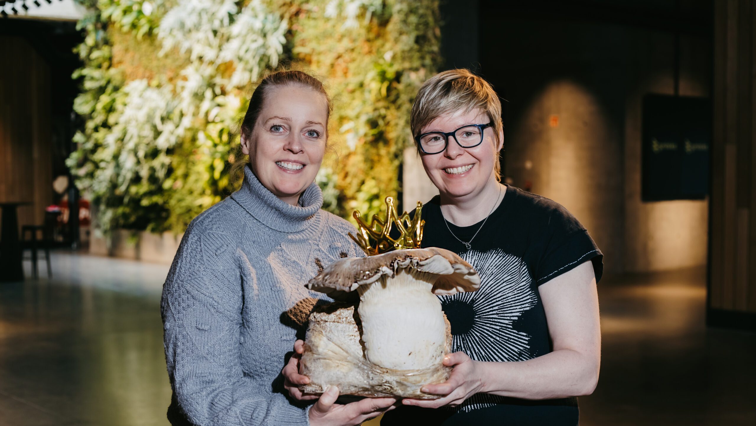 hringidaplus2025_Svepparíkið_2 hringidaplus2025_Svepparíkið_2