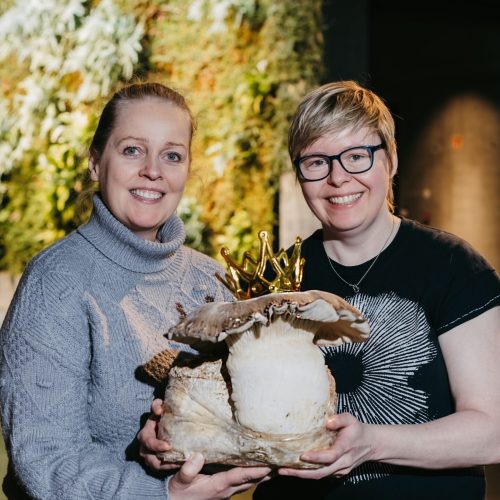 hringidaplus2025_Svepparíkið_2