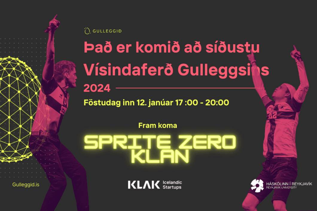 web page-Gulleggs-viso-1024-x-683-px